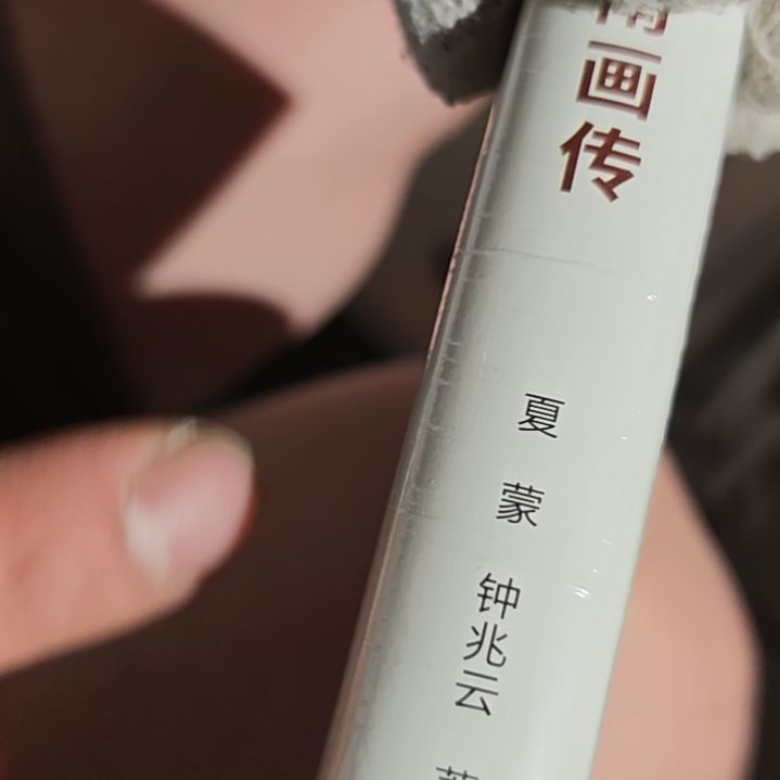项的画传精装微瑕