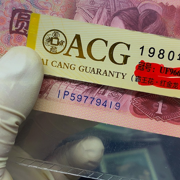 一张一张一张一张一张