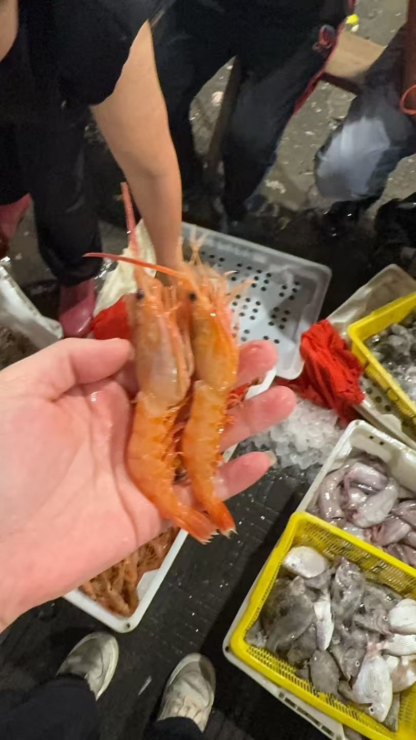 【3斤三大金】东海野生海捕红虾顺丰包邮