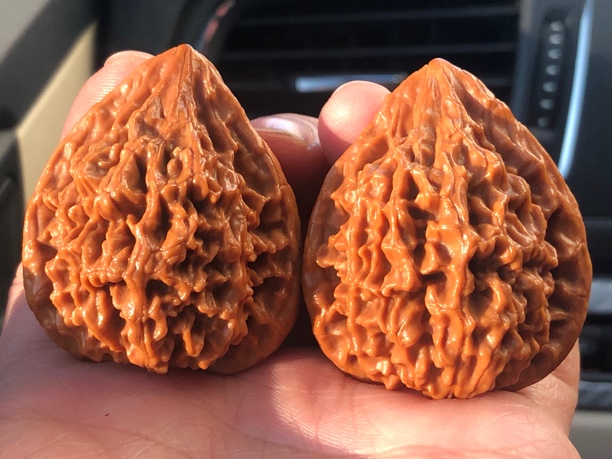 正宗秦岭原生树三剑客秦鸡文玩核桃精品文玩核桃