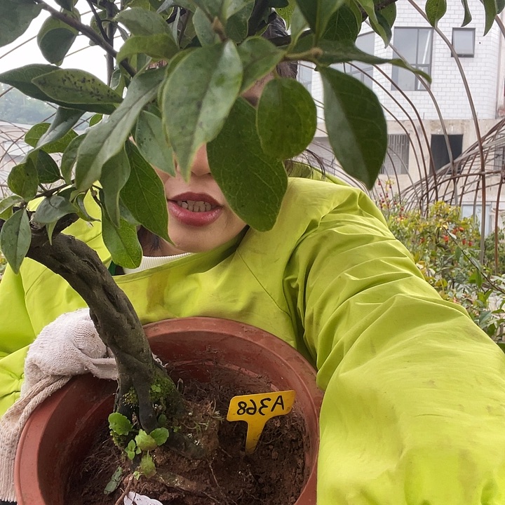 处***阁无花朵金8888888888