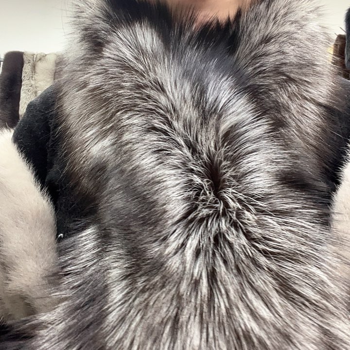 三醋酯纤维银狐围巾抽绳149^_^