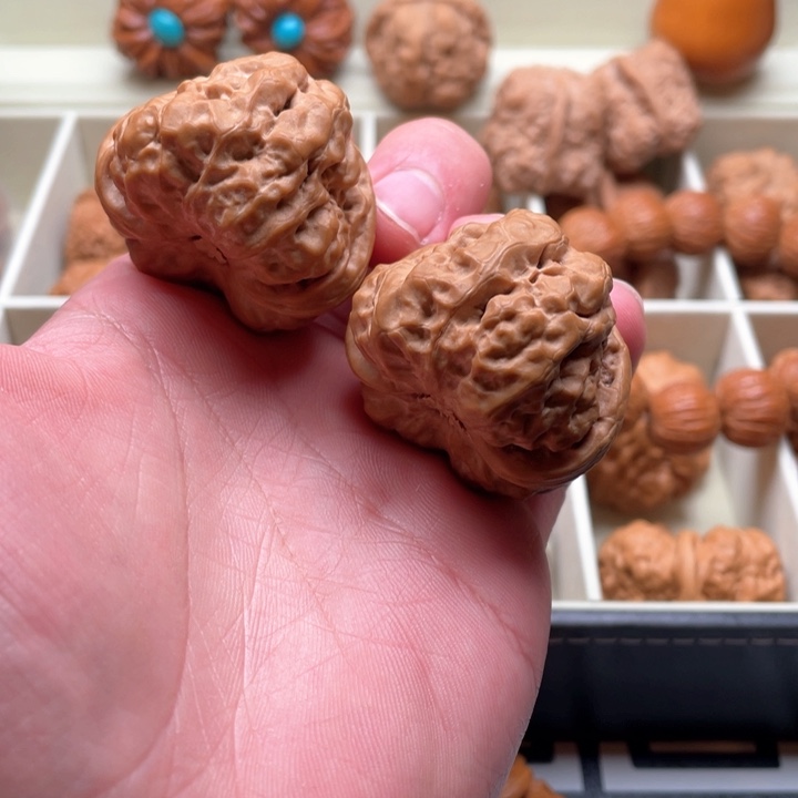 核桃手串/手链周*盼40cm肌肉娃