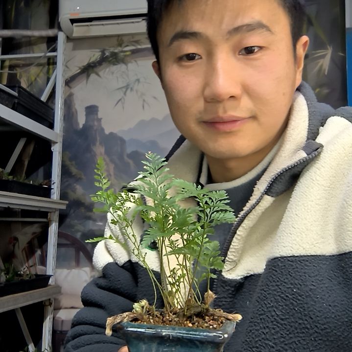 依***你中青园艺一物一拍花144