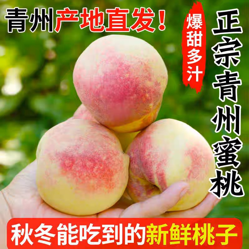 顺丰包邮正宗青州蜜桃新鲜现摘应季水果脆甜儿时味道水果当季热卖