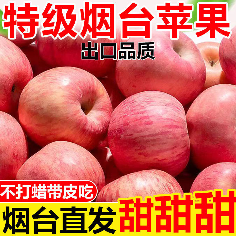 正宗烟台苹果脆甜红富士当季栖霞冰糖心苹果山东新鲜水果整批发