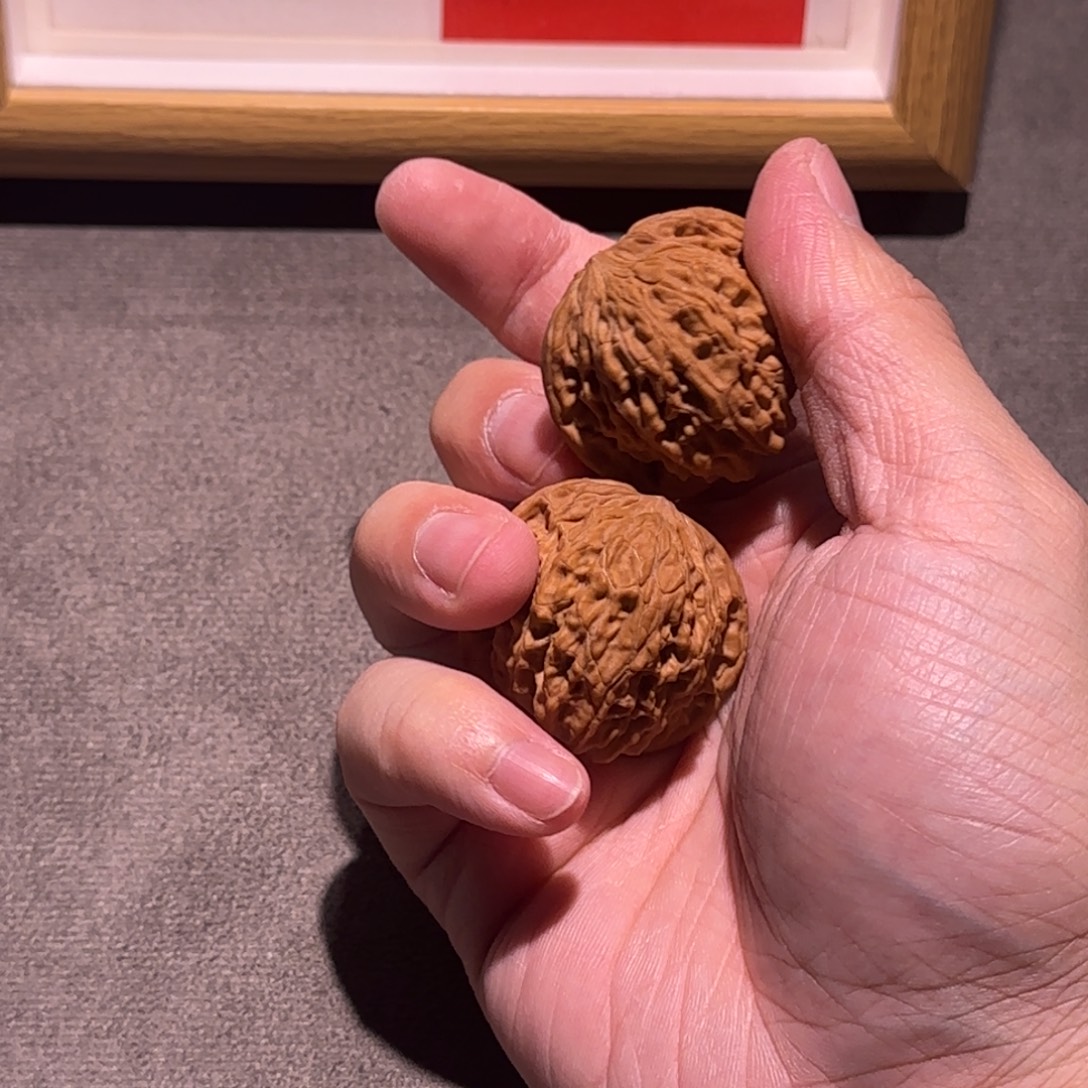 道****全品磨感谢支持11