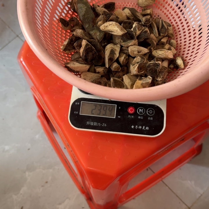 奇楠沉香树丁原材料