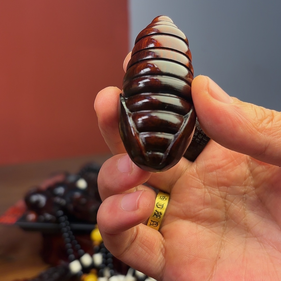 檀香紫檀（小叶紫檀）蛹