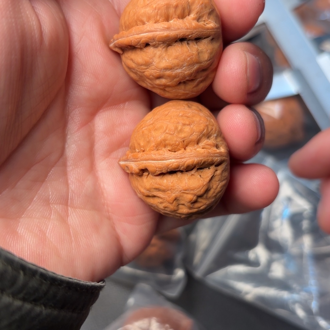 文玩核桃把件210000000