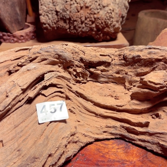 大果紫檀（缅甸花梨）