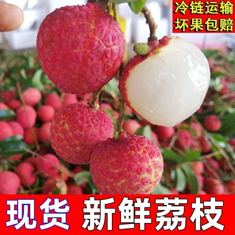 【顺丰/京东冷链】黑夜荔枝老树新鲜采摘现摘现发应急水果D