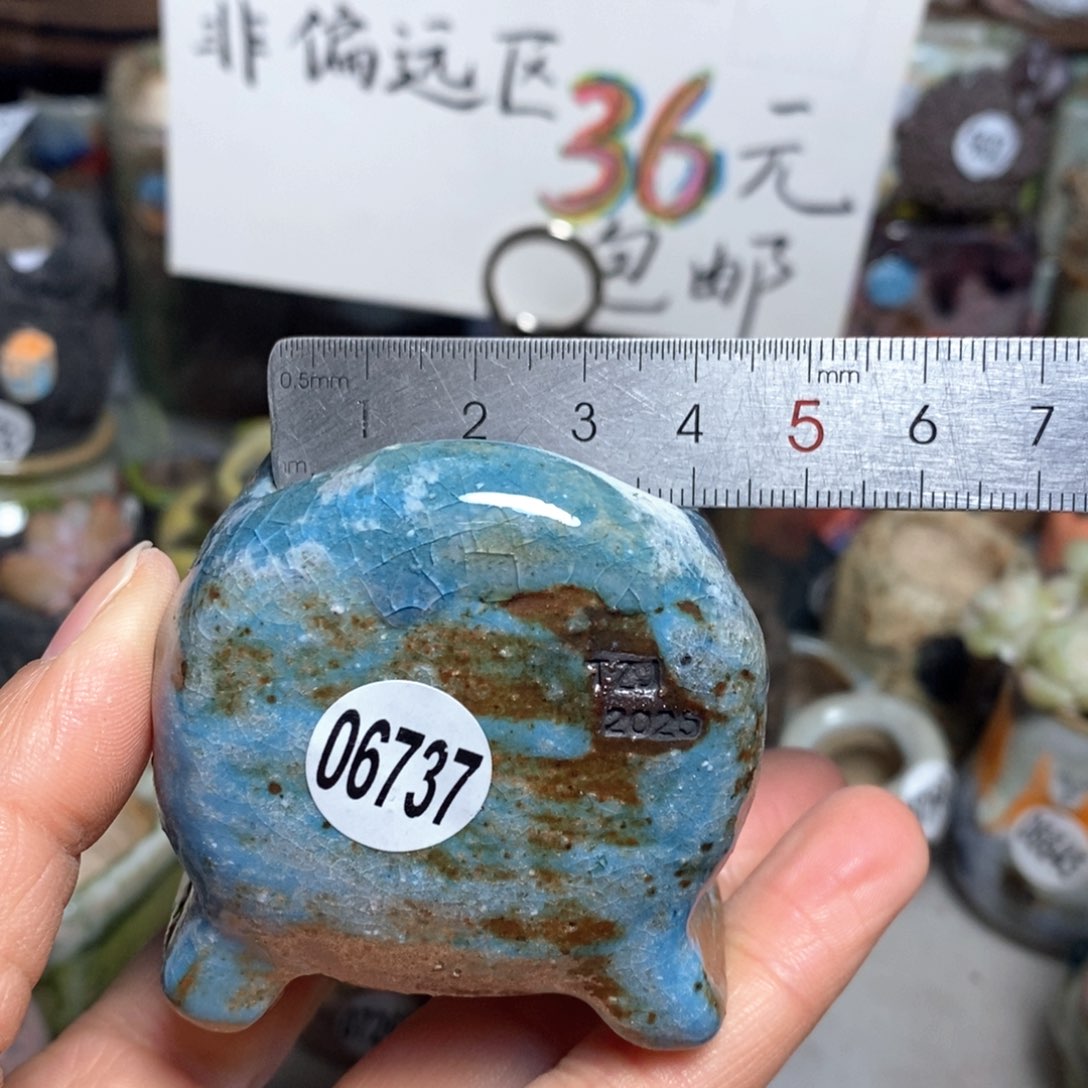 花盆拍3送一个小礼物