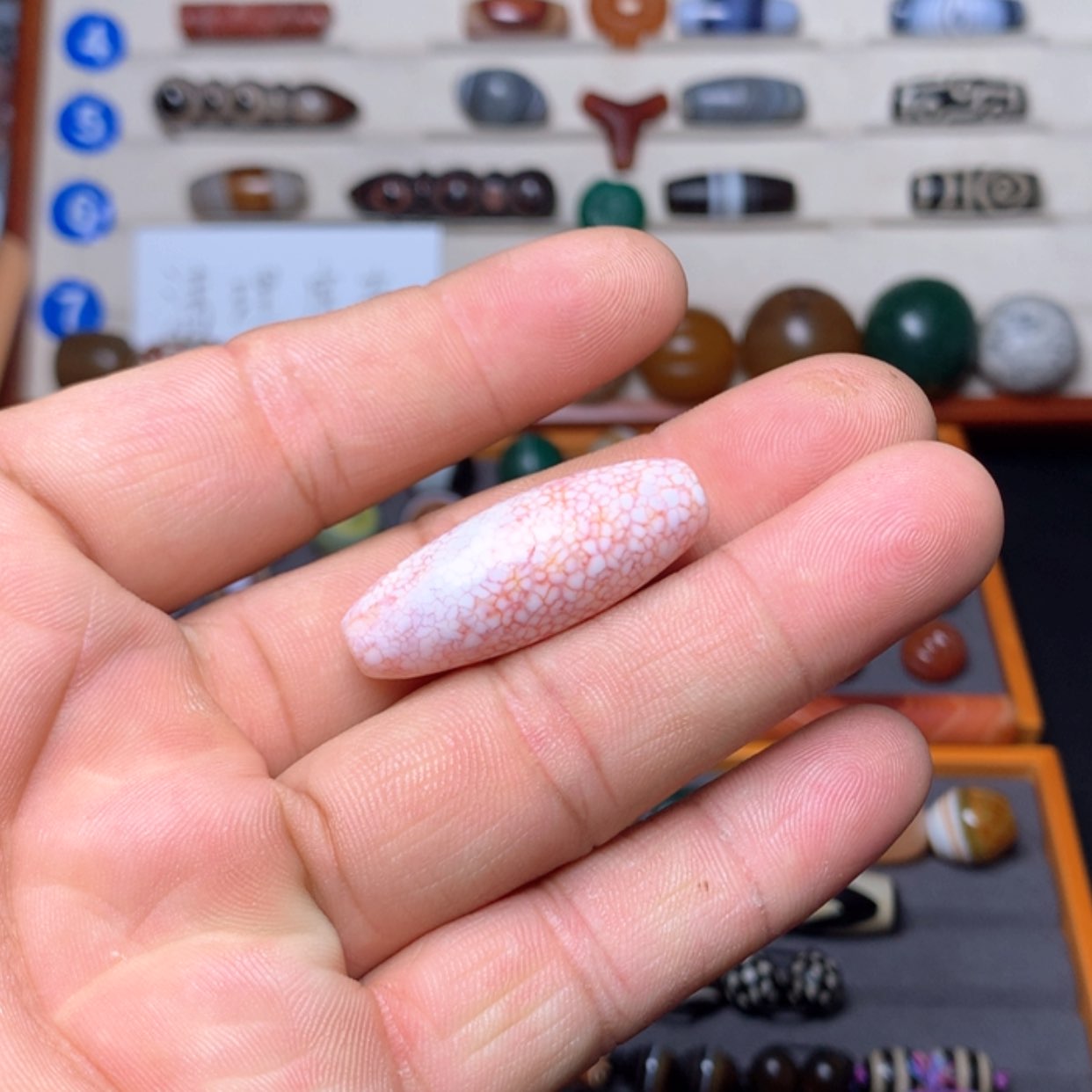 【闪购商品】玛瑙/玉髓珠宝奇石未镶嵌