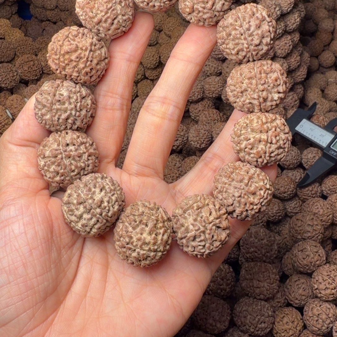 金刚菩提手串7瓣卡24尺，68号