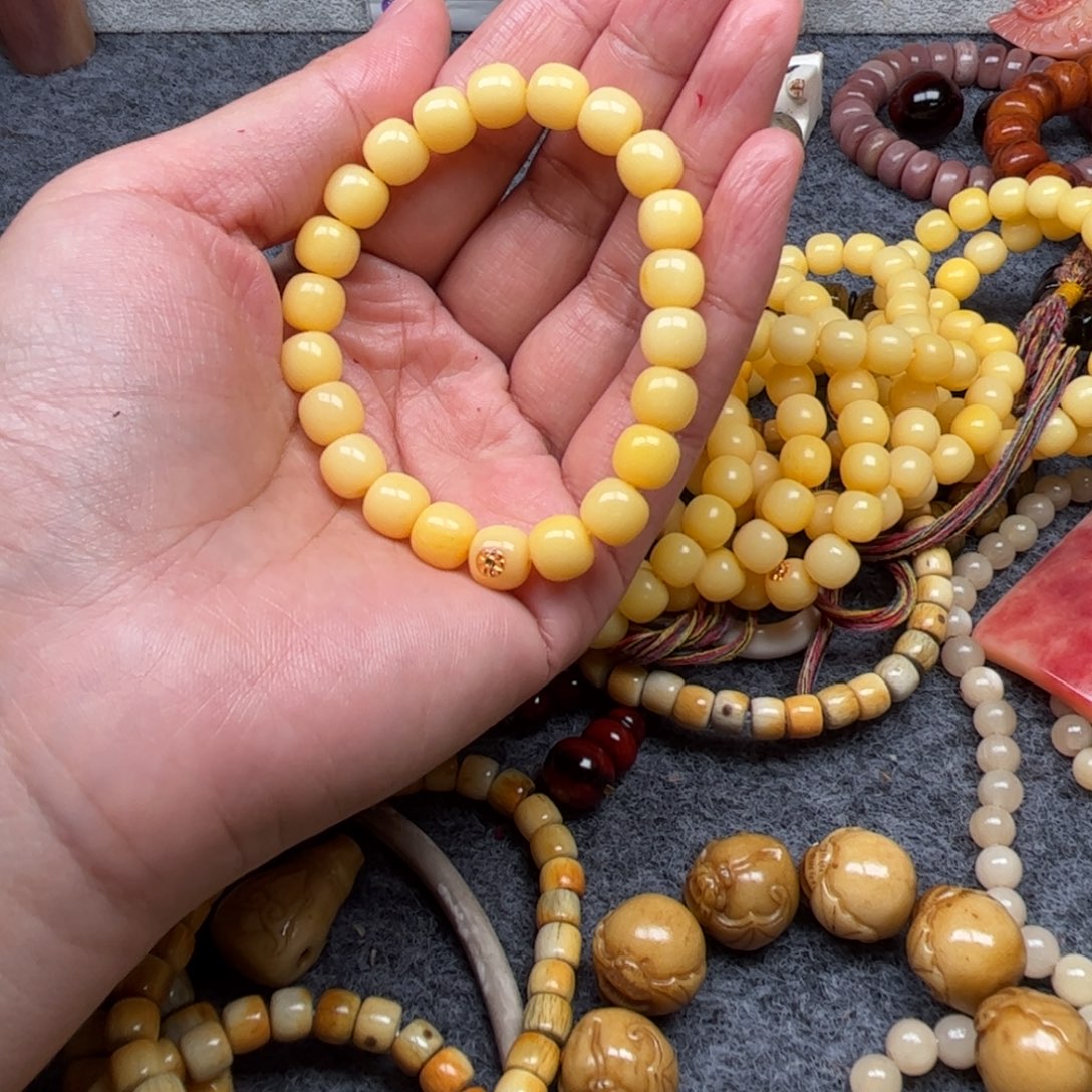 鹿骨其他人工养殖驼骨28