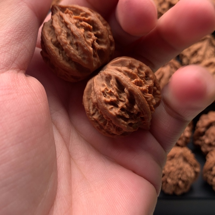 其他核桃秦岭山脉的一座山峰