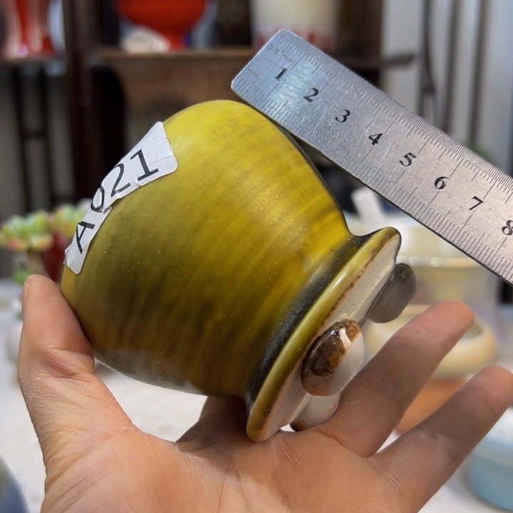 景德镇陶瓷博物研究