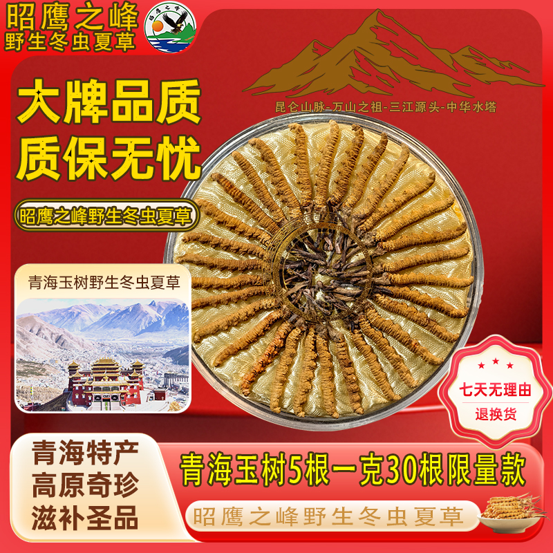 昭鹰之峰昭鹰之峰青海玉树野生冬虫夏草5根一克系列