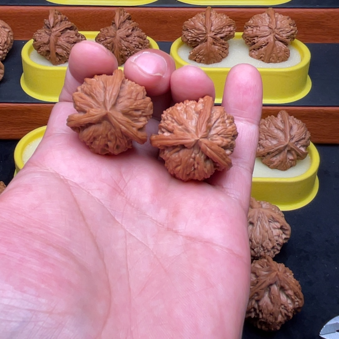 手串/手链核桃白狮子三棱34