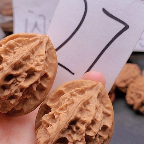 吊坠桃核38➕龙骨43克