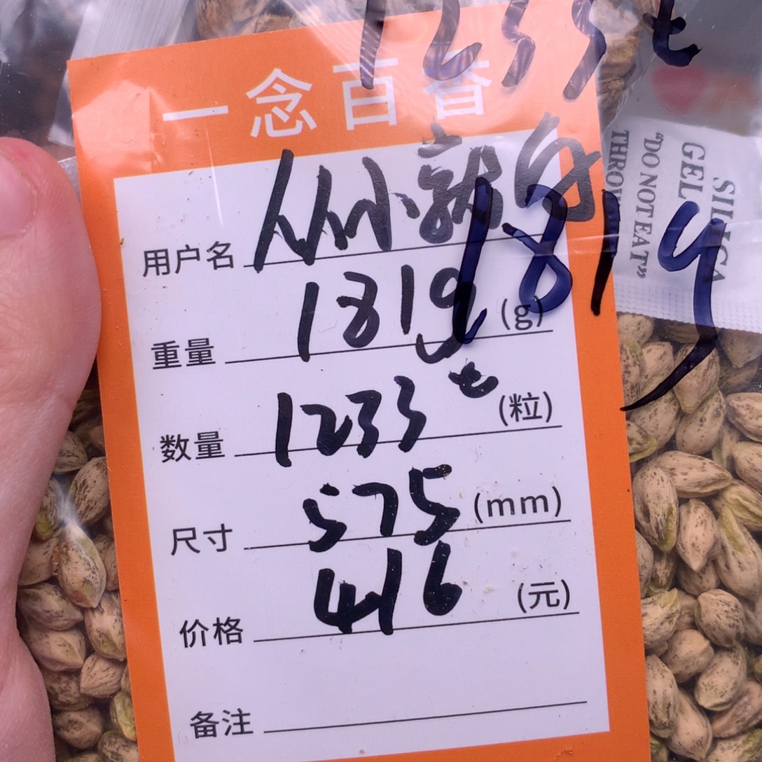 ****白柏香籽/百香籽吊坠