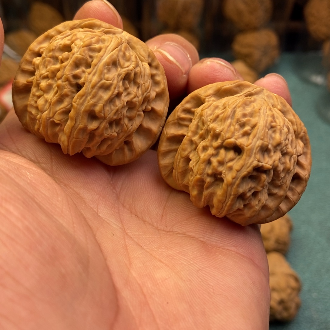 @***生吊坠文玩核桃全品白狮子