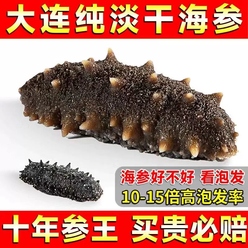 大连九年 六排刺 辽刺参 底播海参一斤装/500g