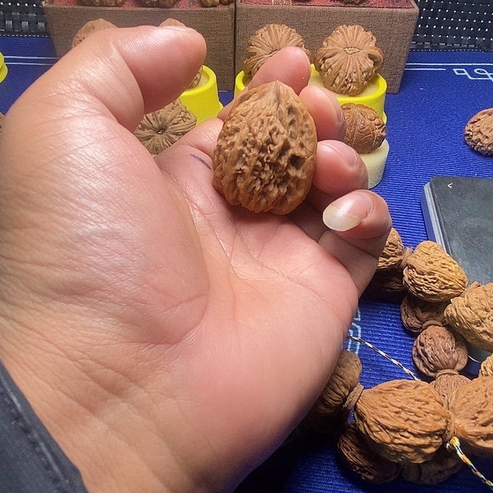 龘***福利给大哥南疆一直