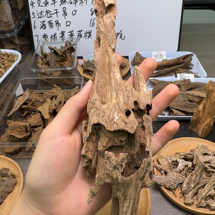 海南土沉虫漏44克。