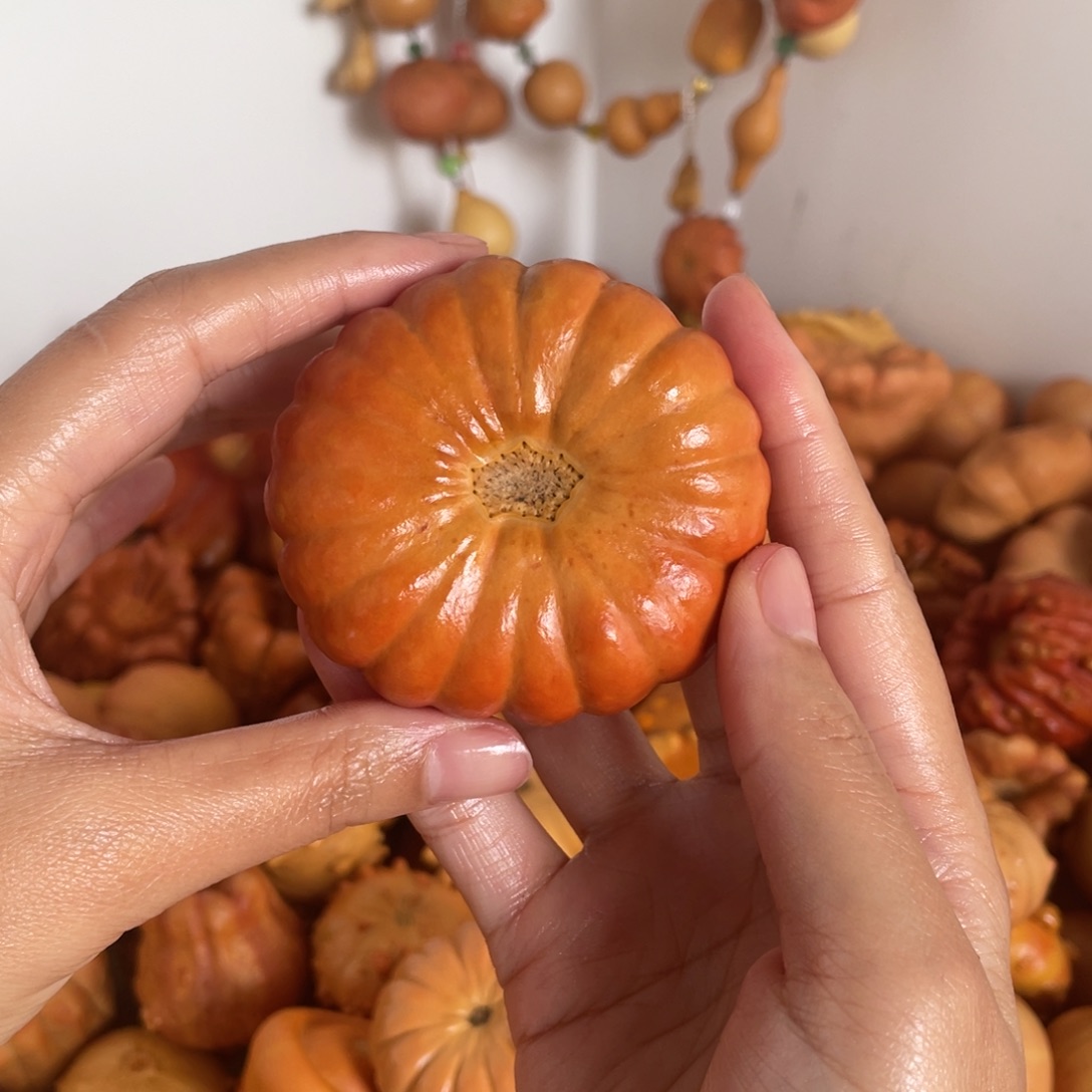 ****发向幸福出发花花花饼