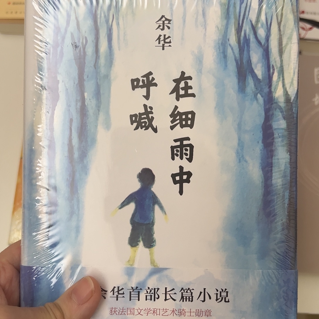 在细雨中呼喊    