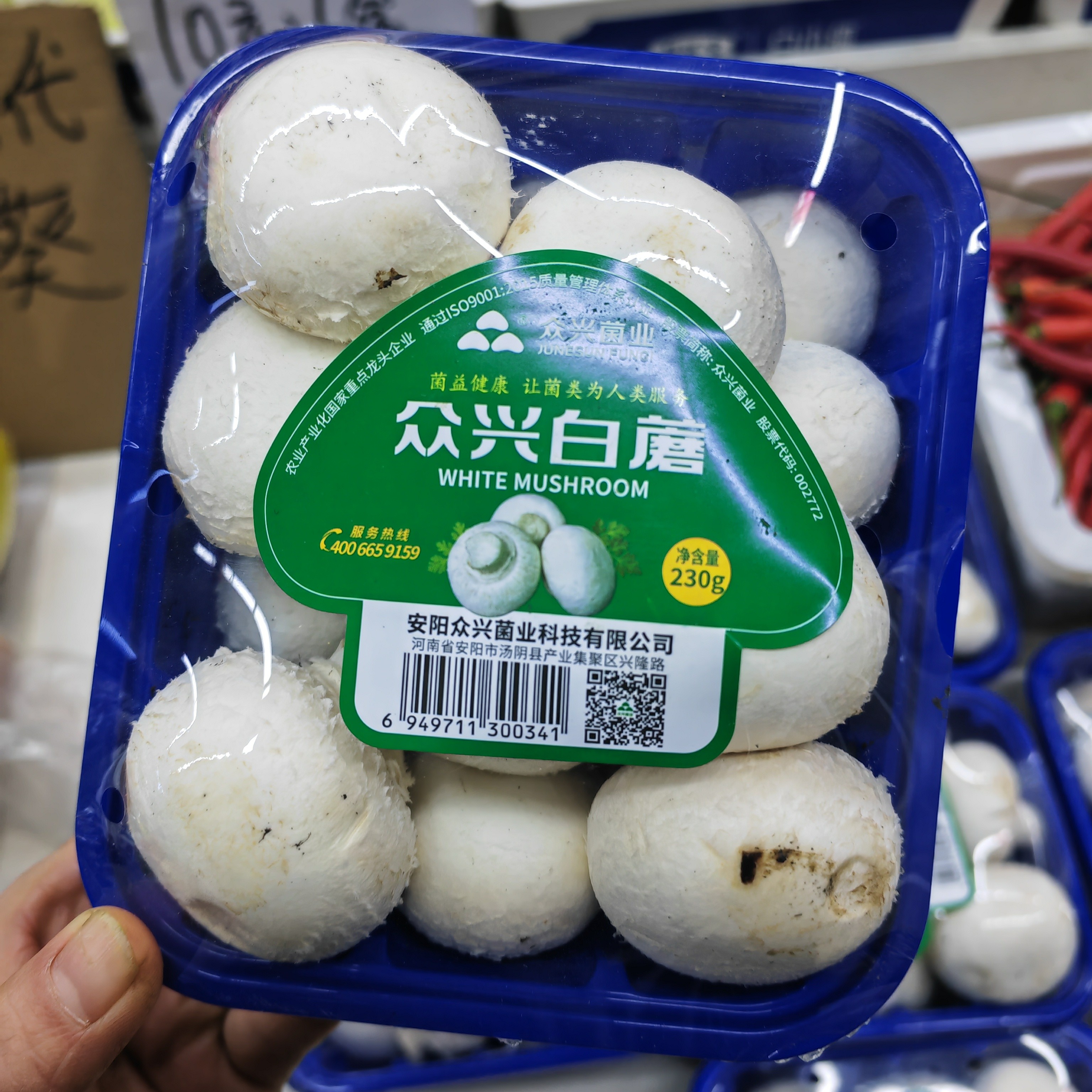 白口蘑嫩嫩蘑菇1份