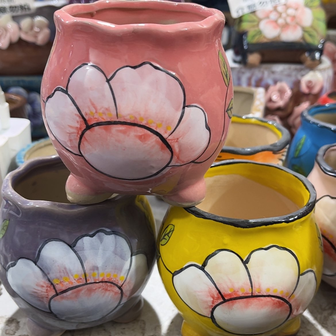 【闪购商品】红陶福利