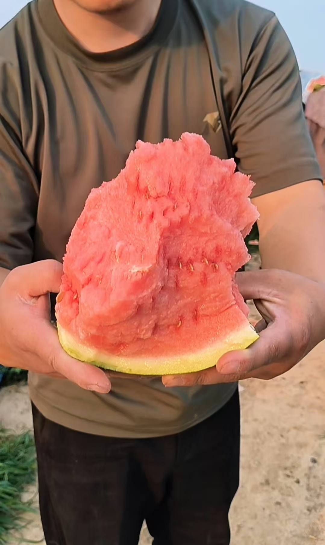 夏邑精品美都麒麟西瓜