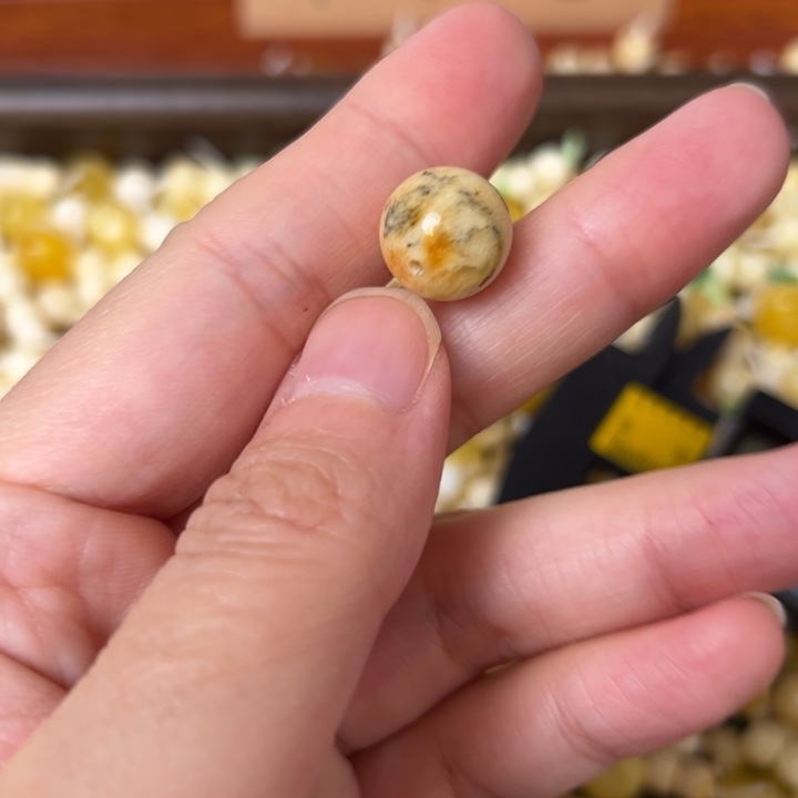 蜜蜡未镶嵌裸石12.1mm一个