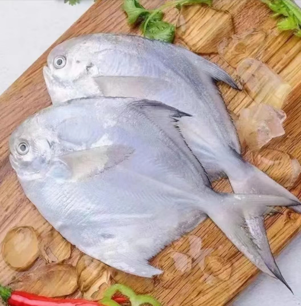 【京东冷链发货】海捕银鲳鱼 肉肥新鲜 一斤/四条 刺少肉嫩