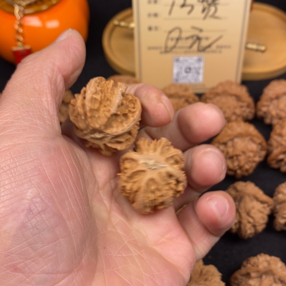 秦岭南侧与黄河上游及