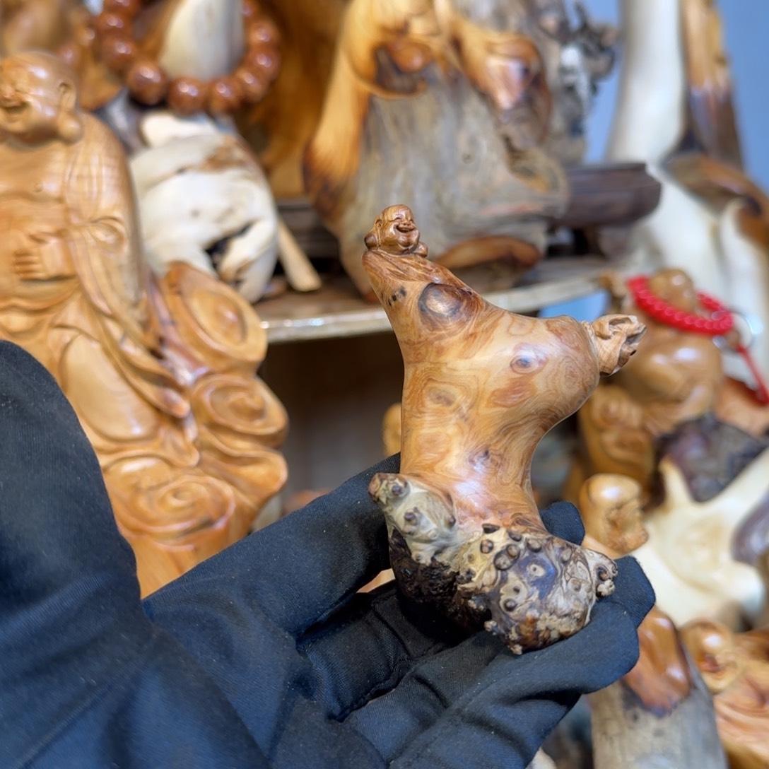 柏木（崖柏）66666666