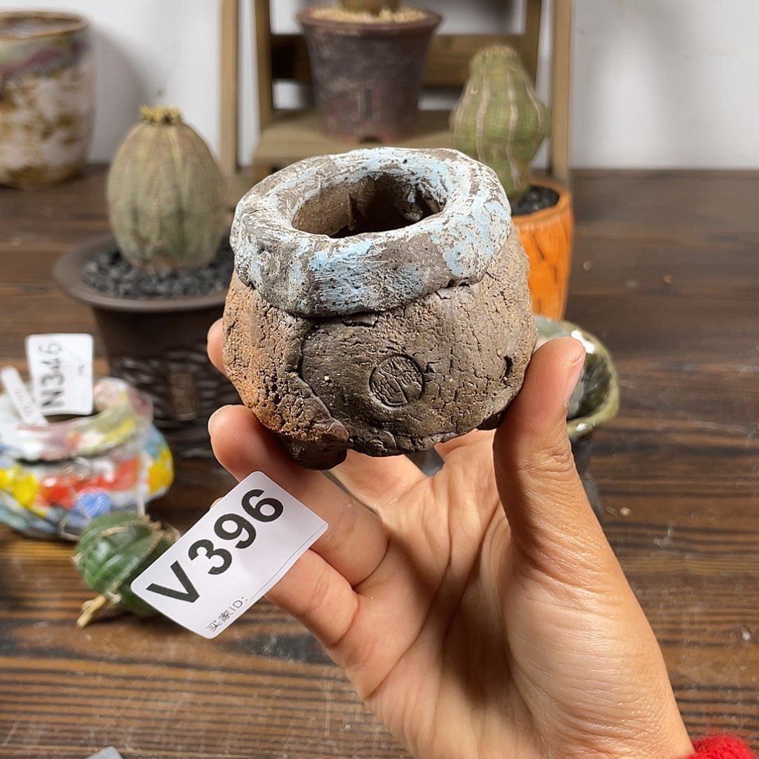 默认微次 限时福利 坛子姐花盆