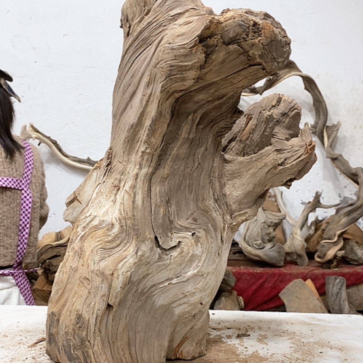 【闪购商品】柏木用****?我们都是好孩子