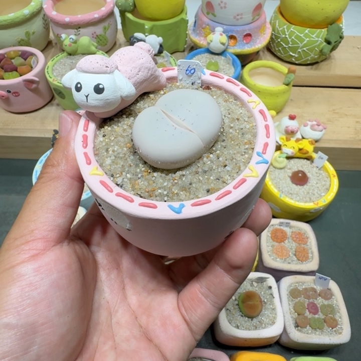 蘑菇226大白大白