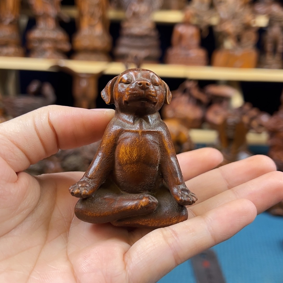 黄杨木小叶黄杨木