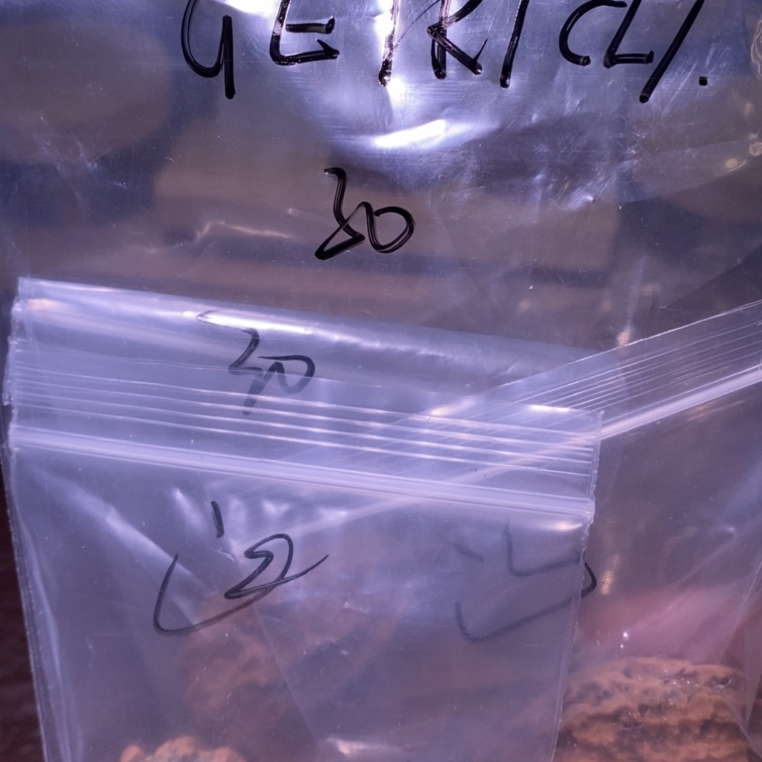 ****.吊坠文玩核桃楸核尖商骄家定向英文字母