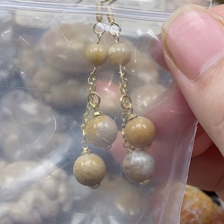 颈饰未镶嵌硅化珊瑚（珊瑚玉）