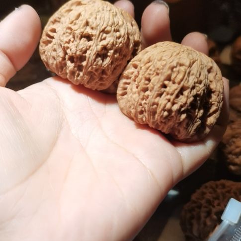 猴头核桃吊坠45泥鳅背