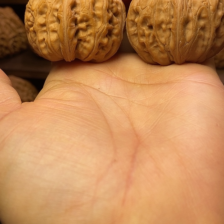 Y***S文玩核桃全品元宝