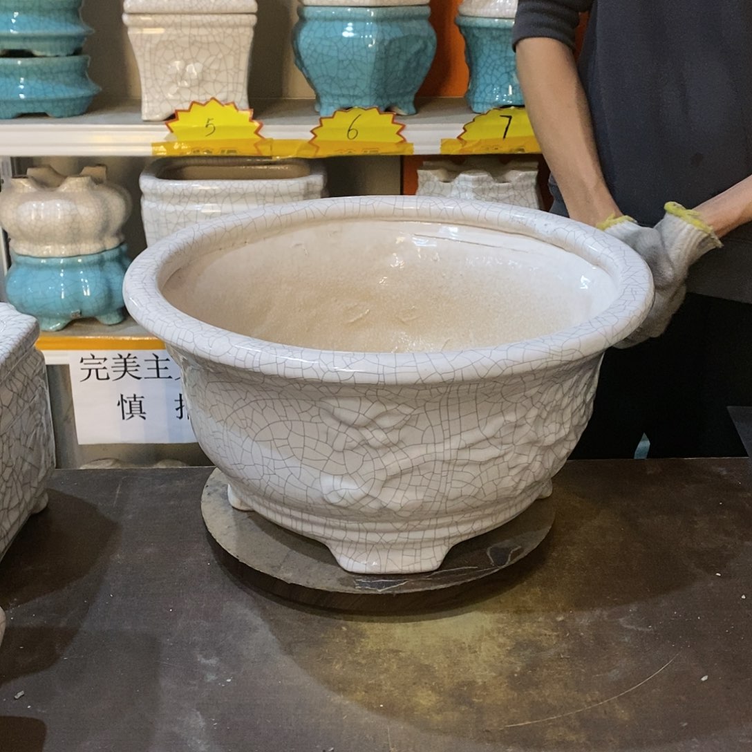 用****0瑕疵花盆花盆里的花都