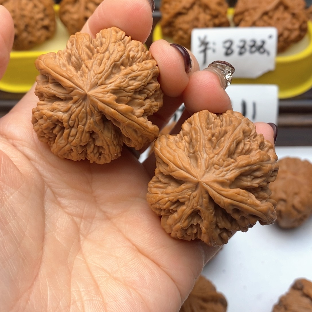 文玩核桃把件42尺全品粗筋