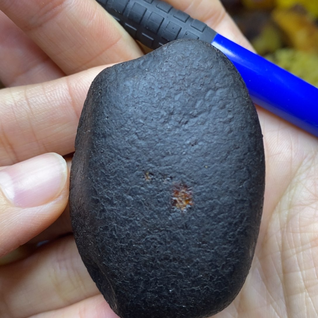 未镶嵌定制蜜蜡胖